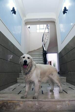 Imagen general del Hostel Chameleon Youth -. Foto 2