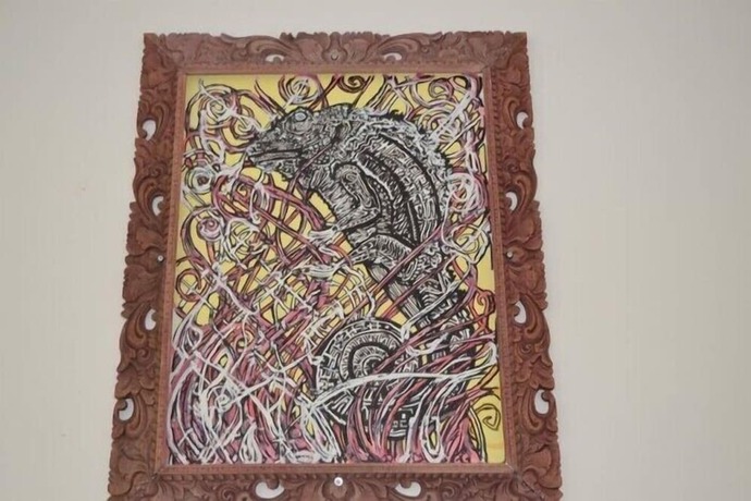 Imagen general del Hostel Chameleon Youth -. Foto 8