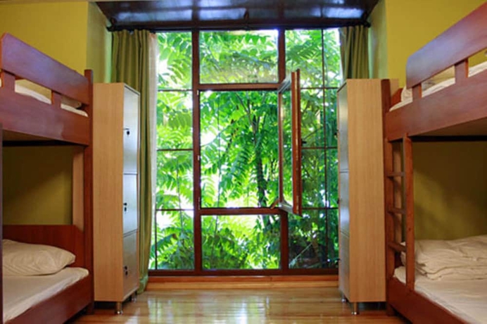 Imagen de la habitación del Hostel Cheers. Foto 11