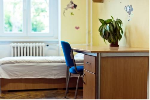 Imagen general del Hostel City Flora. Foto 13