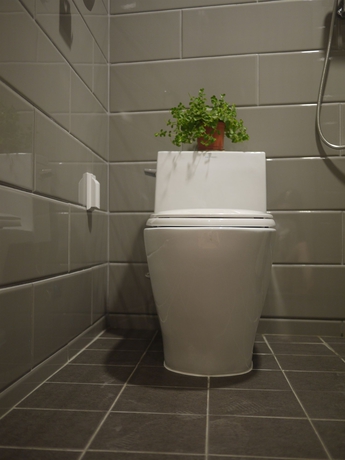 Imagen de la habitación del Hostel Cleo Seoul Hongdae. Foto 5