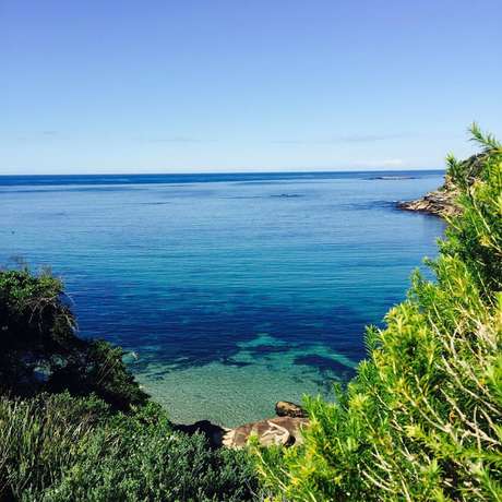 Imagen de los exteriores del Hostel Coogee Beach House. Foto 16