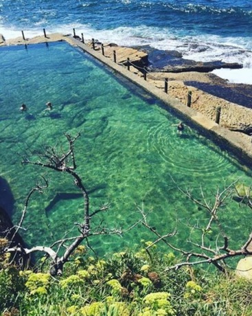 Imagen de la piscina del Hostel Coogee Beach House. Foto 20
