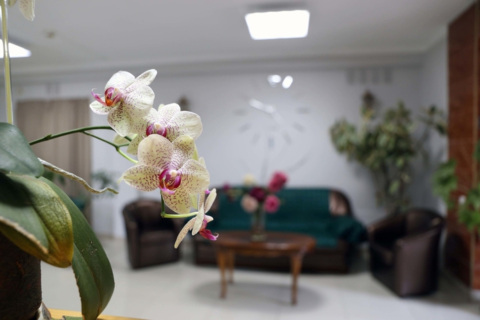 Imagen de los interiores del Hostel Czech House. Foto 13