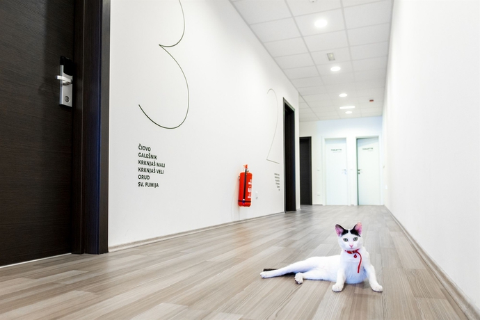 Imagen de los interiores del Hostel Design 101dalmatinac. Foto 14