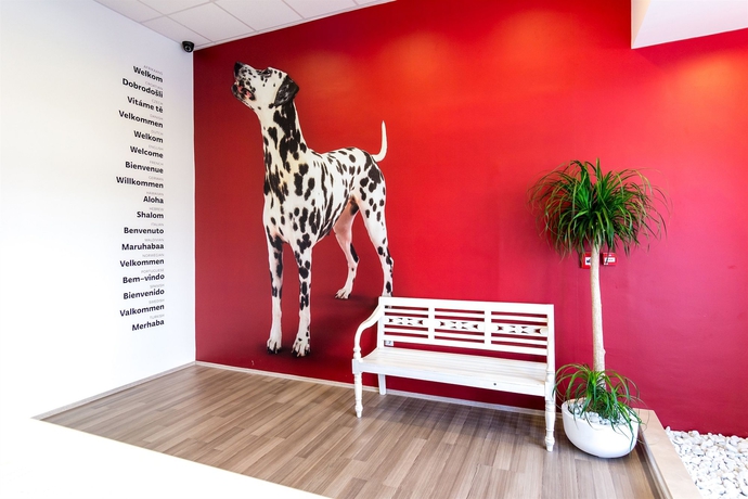 Imagen de los interiores del Hostel Design 101dalmatinac. Foto 15