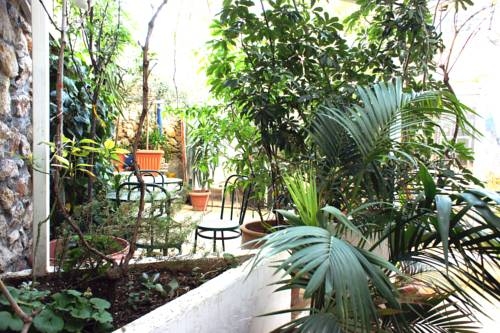 Imagen general del Hostel Dioskouros. Foto 12