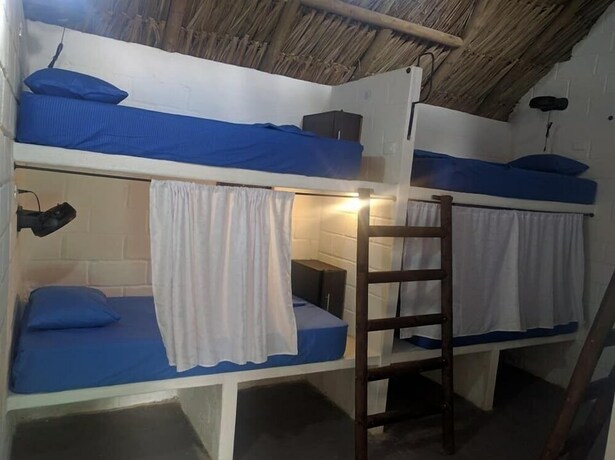 Imagen de la habitación del Hostel El Zoo and Pool. Foto 17