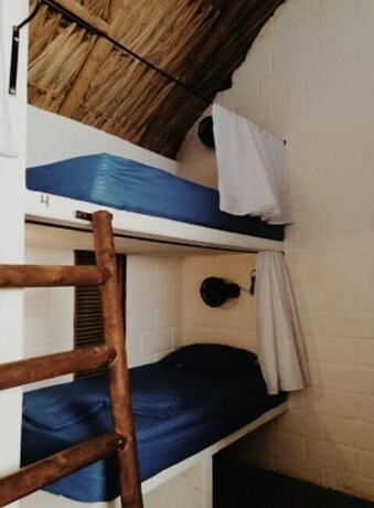 Imagen de la habitación del Hostel El Zoo and Pool. Foto 18
