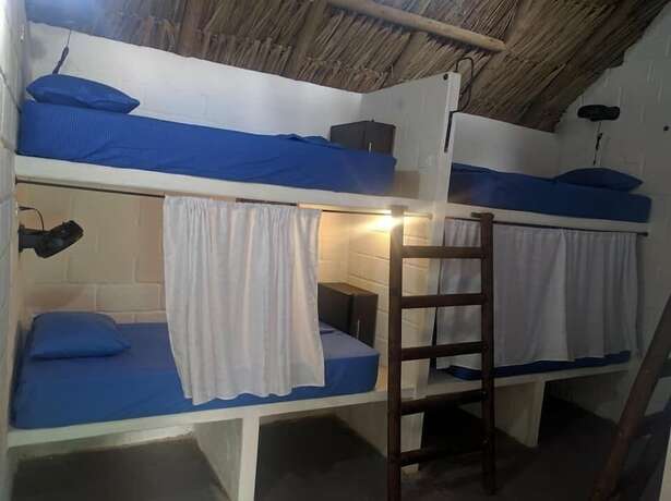Imagen de la habitación del Hostel El Zoo and Pool. Foto 21