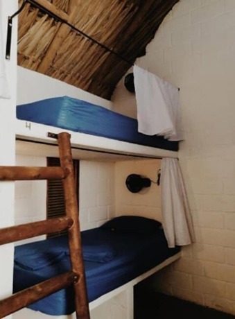 Imagen de la habitación del Hostel El Zoo and Pool. Foto 24