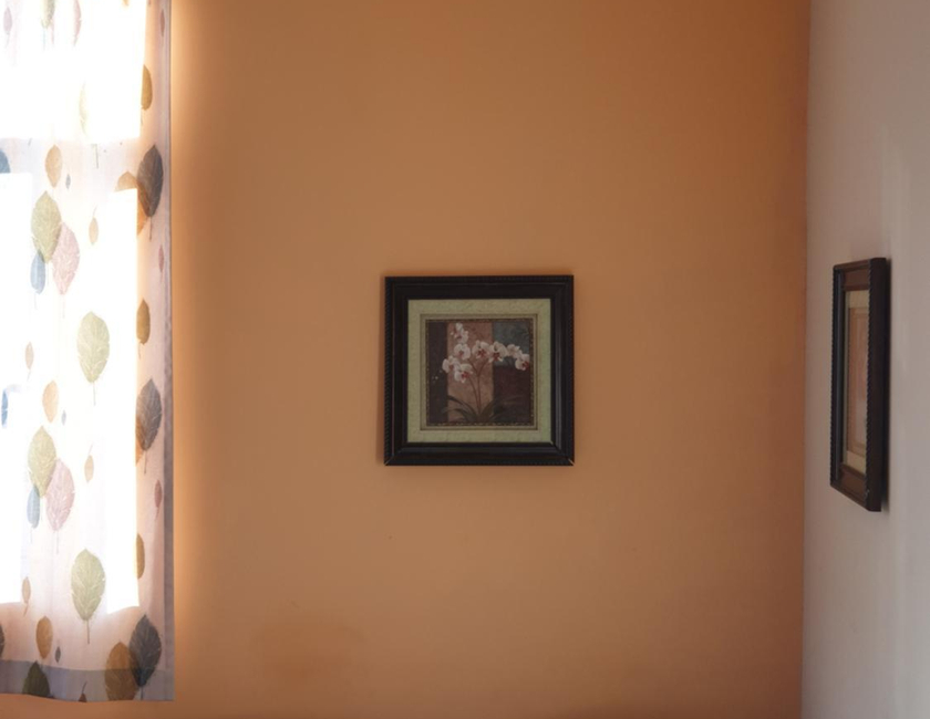 Imagen general del Hostel Elegance And Guesthouse. Foto 10