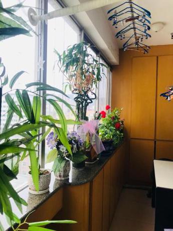 Imagen general del Hostel Flying Dream Capsule. Foto 5