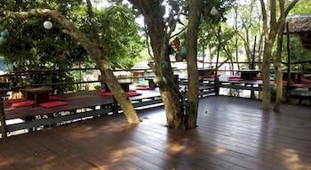 Imagen de los exteriores del Hostel Funky Fish. Foto 13