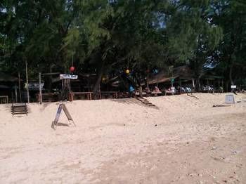 Imagen de los interiores del Hostel Funky Fish. Foto 15