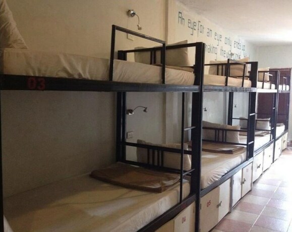Imagen de la habitación del Hostel Funky Monkey. Foto 5