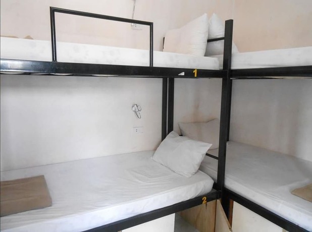 Imagen de la habitación del Hostel Funky Monkey. Foto 6