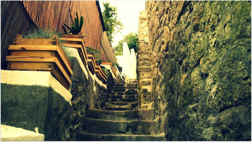 Imagen de los exteriores del Hostel Gaia Porto. Foto 12