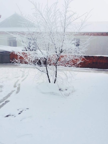 Imagen de los exteriores del Hostel Galaha Int'l Youth Jl Rime Island. Foto 19