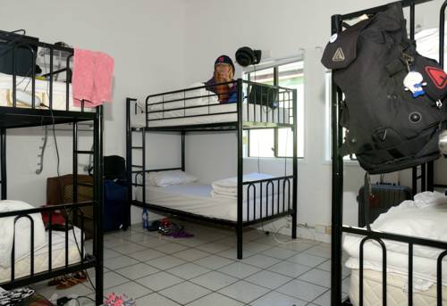 Imagen de la habitación del Hostel Gonow Family Backpackers. Foto 3