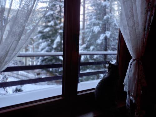 Imagen de los interiores del Hostel Good Bye Lenin Zakopane. Foto 17
