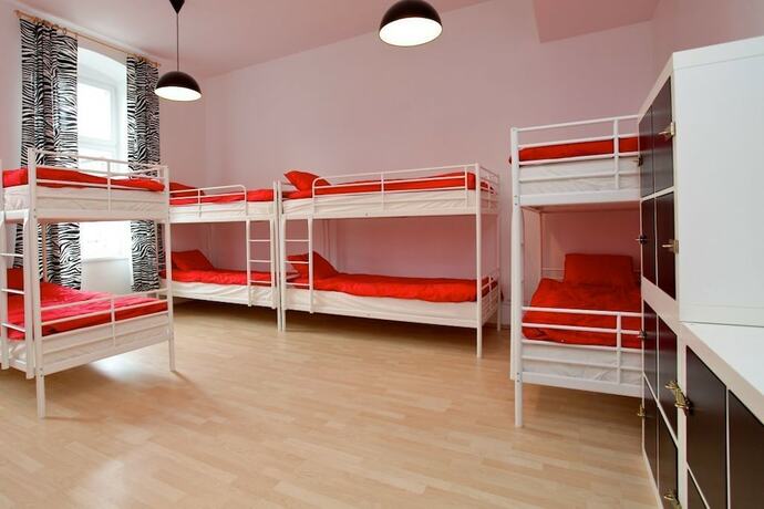 Imagen de la habitación del Hostel Grampa's. Foto 14
