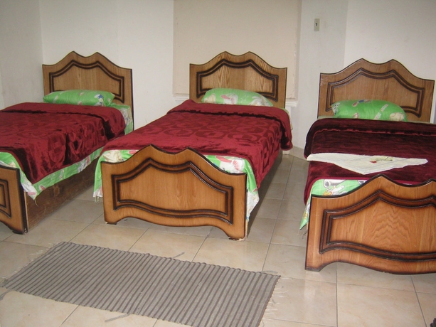 Imagen de la habitación del Hostel Great Alexander. Foto 2