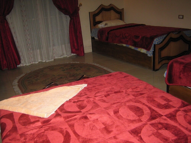 Imagen de la habitación del Hostel Great Alexander. Foto 10