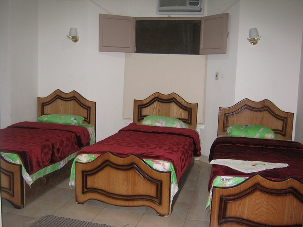 Imagen de la habitación del Hostel Great Alexander. Foto 11
