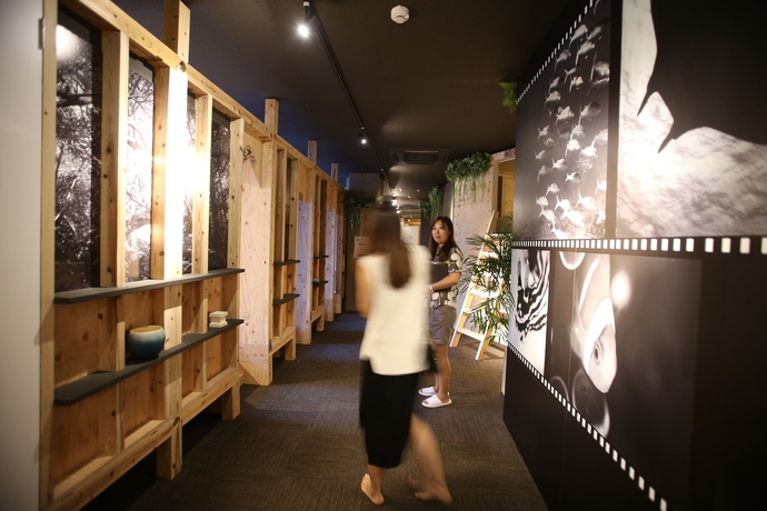 Imagen de los interiores del Hostel Guesthouse Chura Cucule Ishigakijima &ndash;. Foto 18