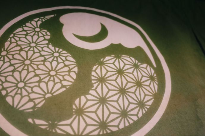 Imagen de los interiores del Hostel Guesthouse Taikoya &ndash;. Foto 13