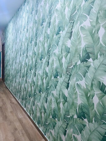 Imagen general del Hostel H8. Foto 8