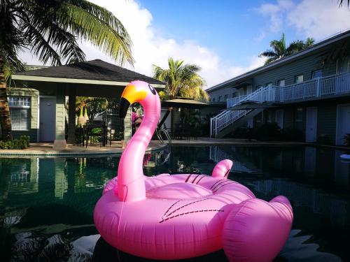 Imagen general del Hostel Hainan Happy Time Party. Foto 2