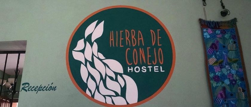 Imagen general del Hostel Hierba De Conejo -. Foto 2