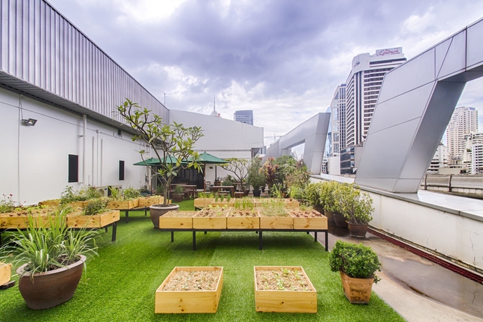 Imagen de los exteriores del Hostel Hom and Cooking Club. Foto 17