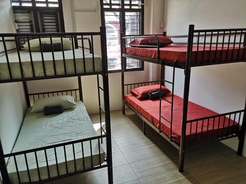Imagen general del Hostel Homey. Foto 1