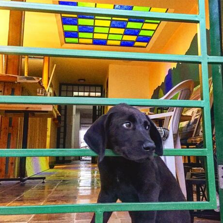 Imagen general del Hostel Hostal Siete Rios Cali -. Foto 7