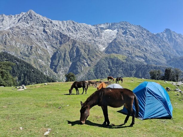 Imagen general del Hostel Hostel Hikers World. Foto 7