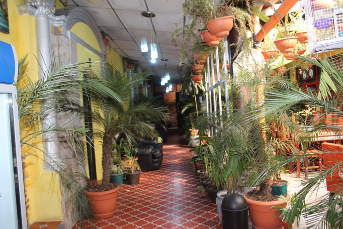 Imagen de los interiores del Hostel Hotel Casa Del Viajero -. Foto 17