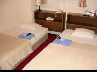 Imagen de la habitación del Hostel Hotel Yanagibasi -. Foto 12