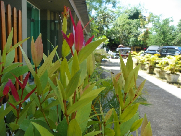 Imagen de los exteriores del Hostel I Krabi Aonang. Foto 8