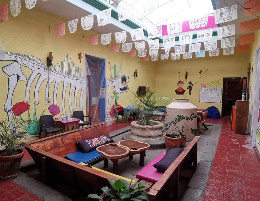 Imagen general del Hostel Iguana Oaxaca. Foto 1
