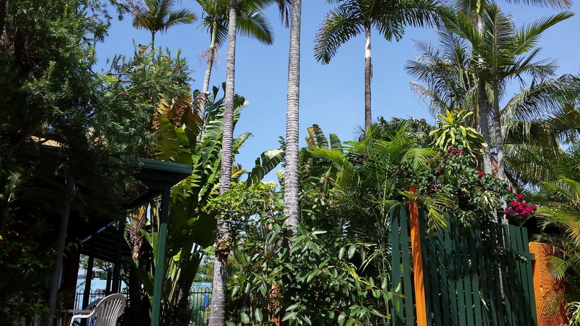 Imagen de los exteriores del Hostel Jj's Backpackers. Foto 10