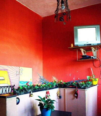 Imagen de los interiores del Hostel Joven Casa Reggae. Foto 34