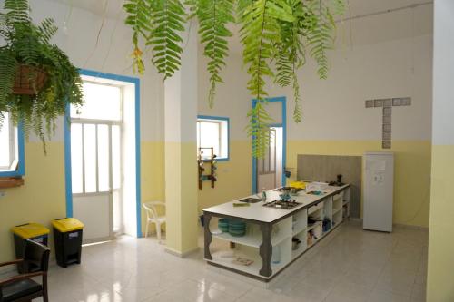 Imagen de la habitación del Hostel Jungle House. Foto 4