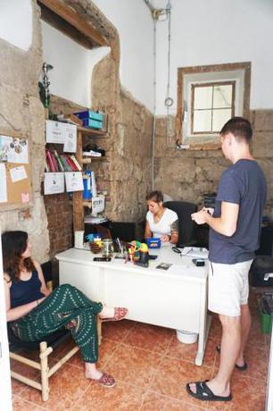 Imagen general del Hostel Jungle House. Foto 1