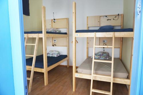 Imagen general del Hostel Jungle House. Foto 3