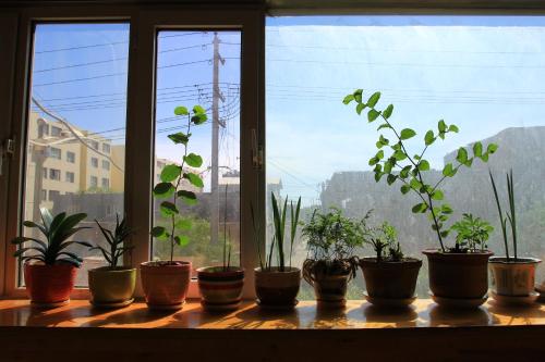 Imagen de la habitación del Hostel Kashi Maitian Youth. Foto 10