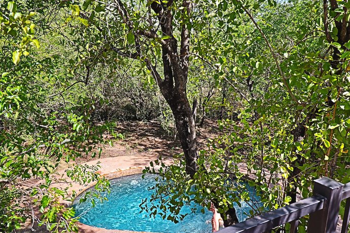 Imagen de la piscina del Hostel Kruger Park. Foto 17