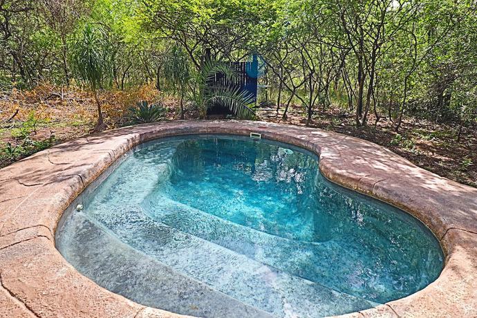 Imagen de la piscina del Hostel Kruger Park. Foto 18